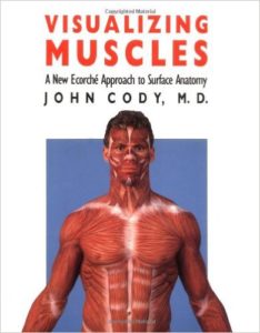 Visualizing Muscles