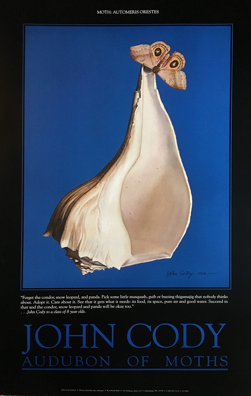Seashell Moth Poster